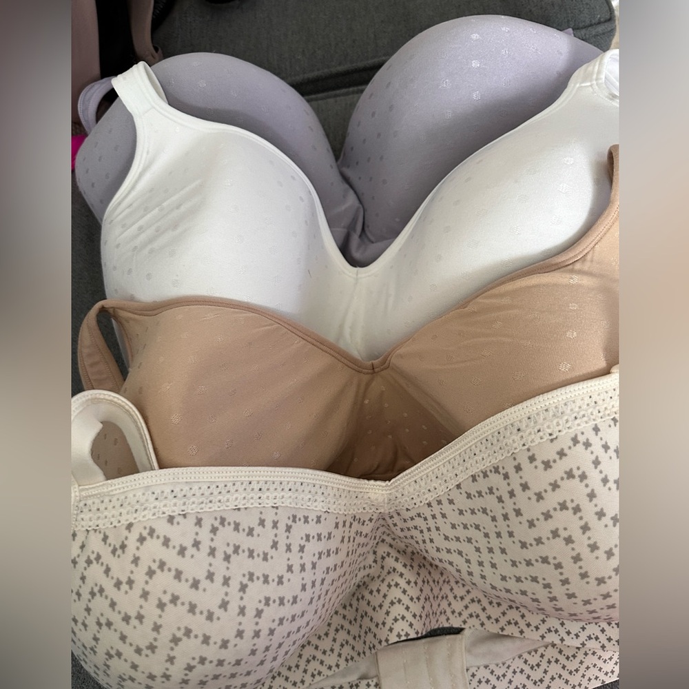 Set of 4 plus size bras in size 42DD in 4 colors by Bali